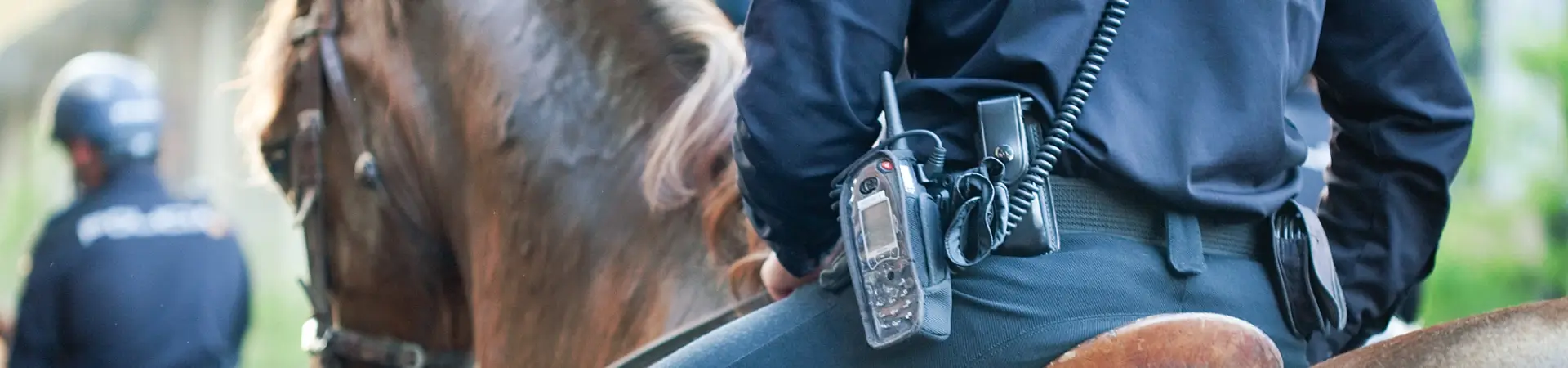 Police Equipment Worldwide Case Study
